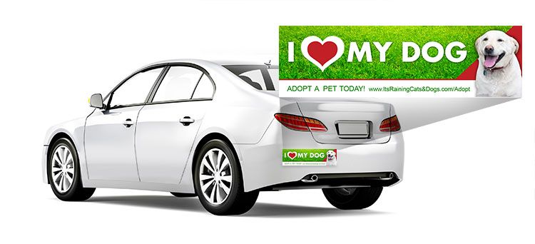 Custom Bumper Sticker on a white sedan that says I Love My Dog with a heart and a white fluffy dog.